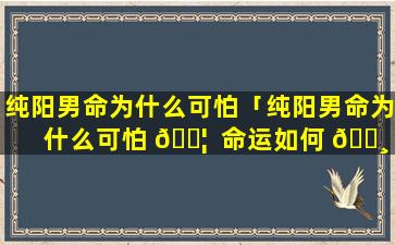 纯阳男命为什么可怕「纯阳男命为什么可怕 🐦  命运如何 🌸 」